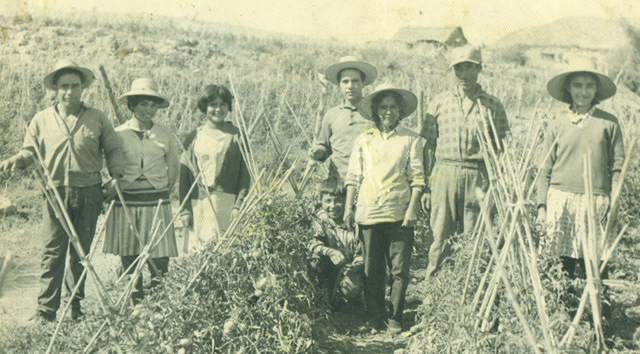 A 50 años de la reforma agraria: Mitos y realidad de un desastre