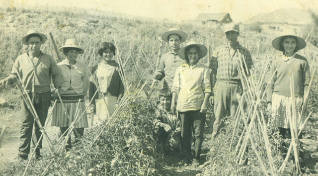 A 50 años de la reforma agraria: Mitos y realidad de un desastre A 50 años de la reforma agraria: Mitos y realidad de un desastre