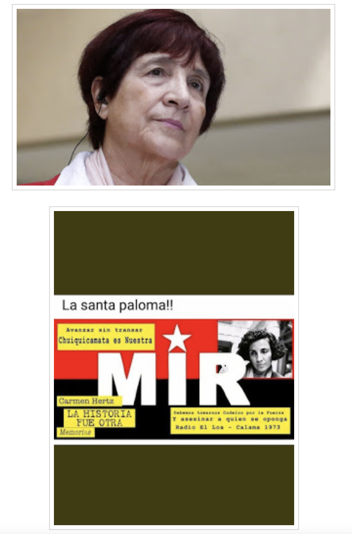 La ley mordaza de Carmen Hertz